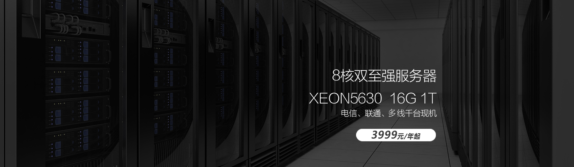 ����(w��)������